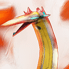 アクエリオン鳳凰