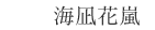 海凪花嵐
