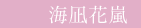 海凪花嵐