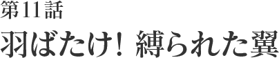 第11話 はばたけ！縛られた翼