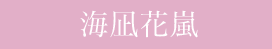 海凪花嵐