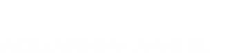 アクエリオン飛天 AQUARION AEGEL